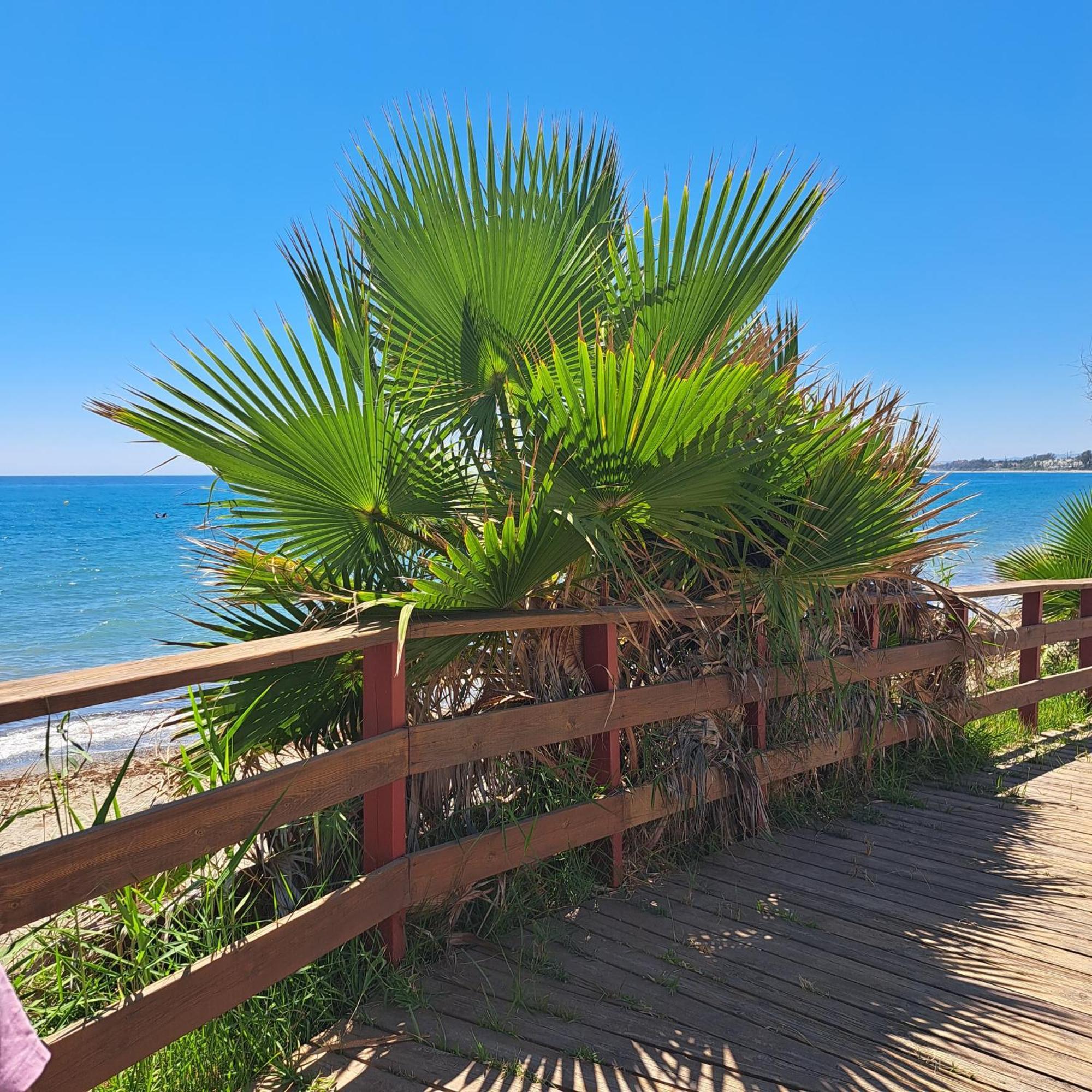 Hello Cosmo Apartment Estepona Exterior photo